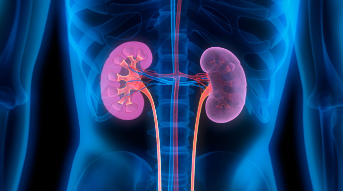 Hyperkalemia Management in Kidney Transplant Recipients