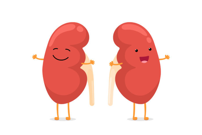 Kidney Transplant Improves Cardiovascular Reserve, But Not For Reasons You Might Think