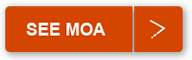 SEE MOA CTA