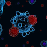 CAR T cells