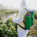 Long-Term Pesticide Exposure Linked to Development of Multiple Myeloma Precursor